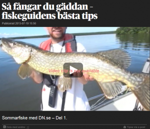 Gädda, gös & abborre fick vi..