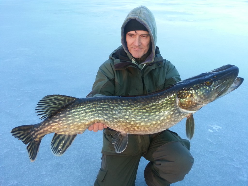 Felix med en stor gädda! Fiskeguidning med fiskeguide Mikael Puhakka www.fishguide.se