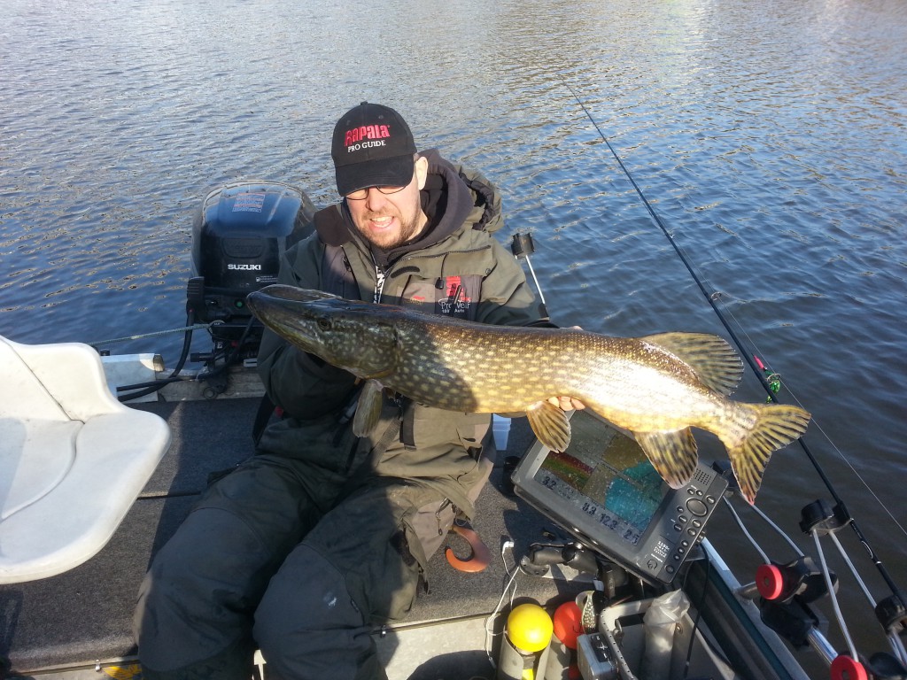 Gäddfiske från Quintrexbåten! Fiskeguidning med fiskeguide Mikael Puhakka www.fishguide.se