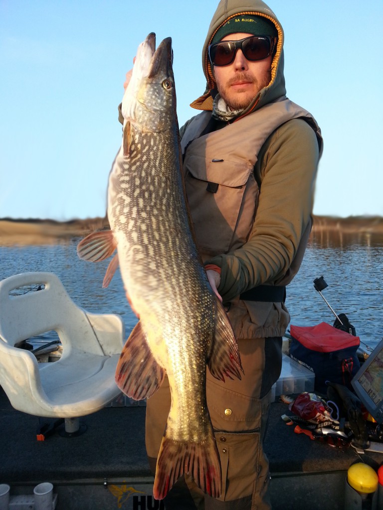 Fiskeguidning med fiskeguide Micke Puhakka. Hemsida www.fishguide.se