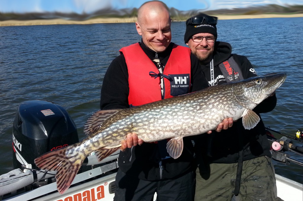 Gäddfiske i Silver Eaglebåten! Fiskeguidning med fiskeguide Mikael Puhakka www.fishguide.se