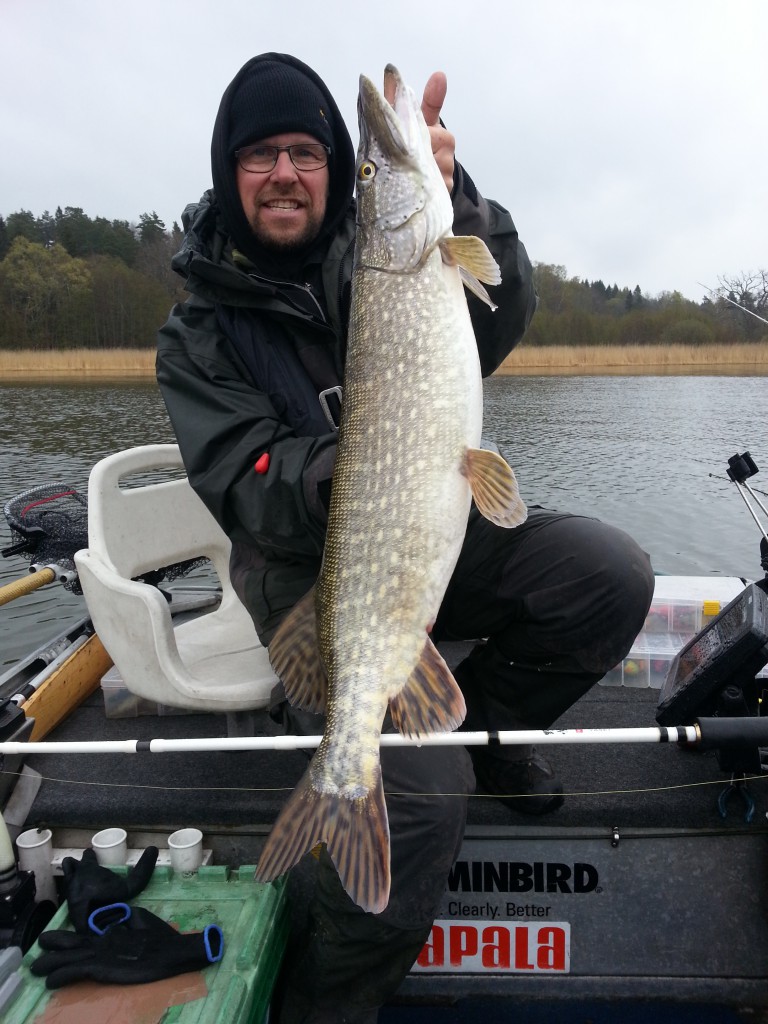 Gäddfiske i Quintrexbåten! Fiskeguidning med fiskeguide Mikael Puhakka www.fishguide.se