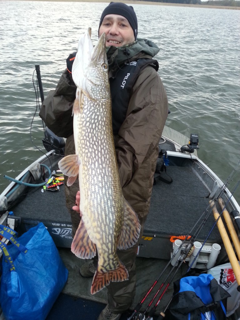 Gäddfiske i Quintrexbåten! Fiskeguidning med fiskeguide Mikael Puhakka www.fishguide.se