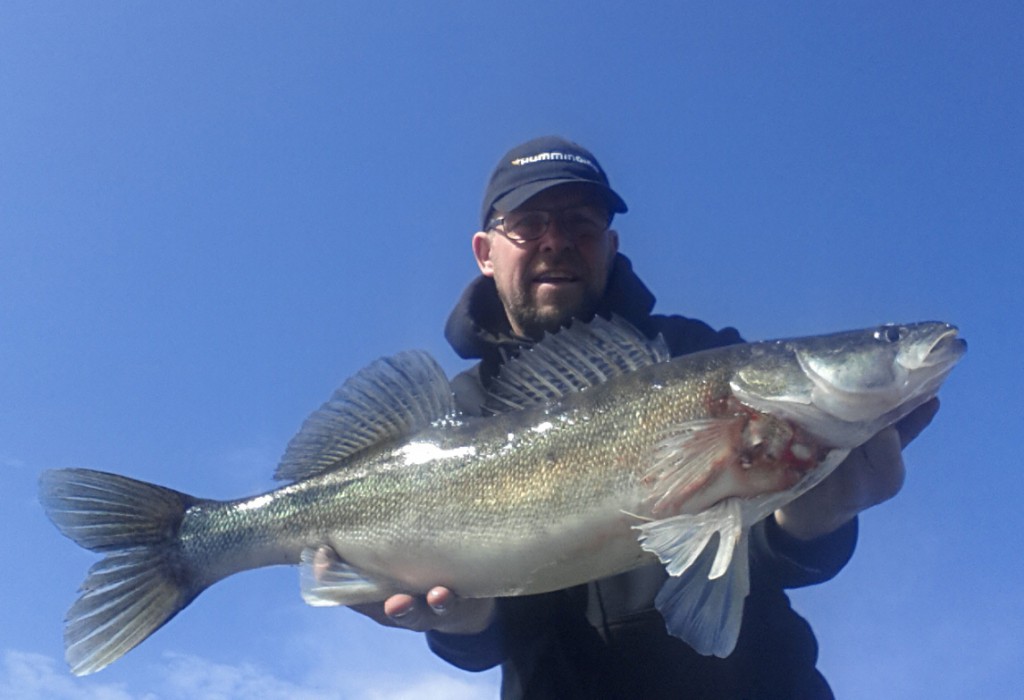 Gösfiske i Quintrexbåten! Fiskeguidning med fiskeguide Mikael Puhakka www.fishguide.se