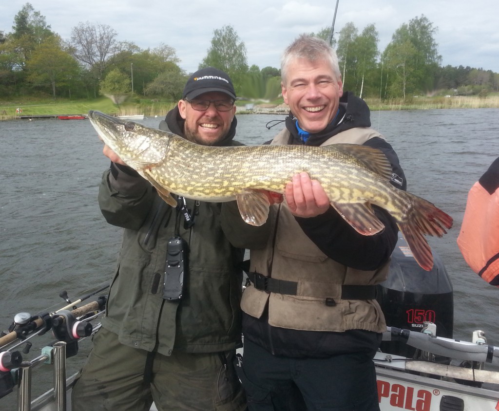 Gäddfiske i Silver Eaglebåten! Fiskeguidning med fiskeguide Mikael Puhakka www.fishguide.se