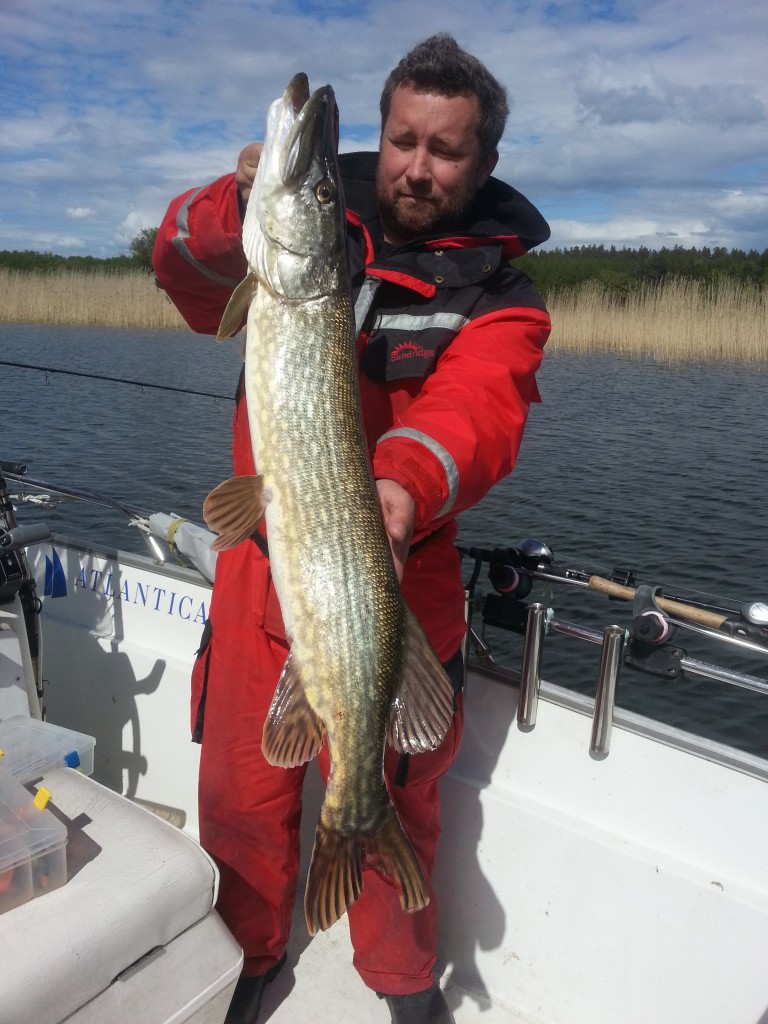 Gäddfiske i Silver Eaglebåten! Fiskeguidning med fiskeguide Mikael Puhakka www.fishguide.se