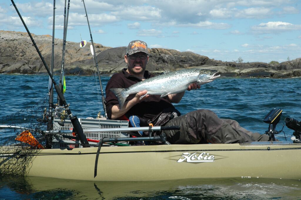 Själv drog jag två Östersjölaxar via kajakfiske trolling, galet kul!! :-) www.fishguide.se