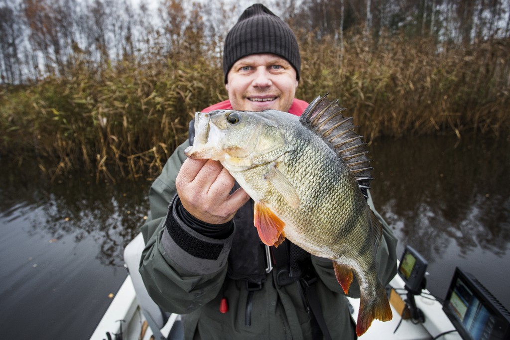 Stefan ''Källan'' Källström med nytt pb på abborre 1750 gram. Jurrasic Pearch 2015-11-01. Foto: Jonas Classon