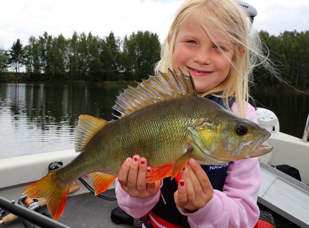 Stolt sjuåring med sin första abborre