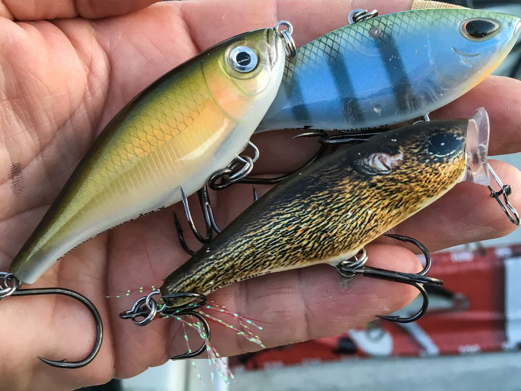 Rapala Twitching Mullet, Storm Arashi Vibe, Rapala Skitter Pop